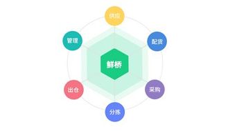 鮮橋訂貨軟件 讓晝夜忙碌的農(nóng)產(chǎn)品流通商更輕松